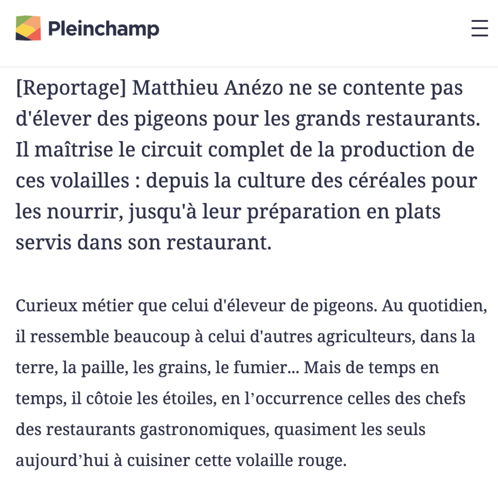 Article pleinchamp